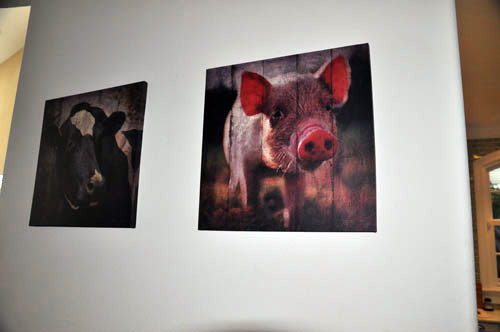 photosofpigs