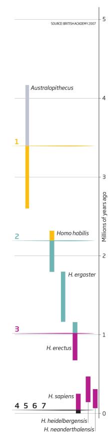 Descripcin: http://www.newscientist.com/data/images/ns/cms/teaser/blog/201409/imagination-220.jpg